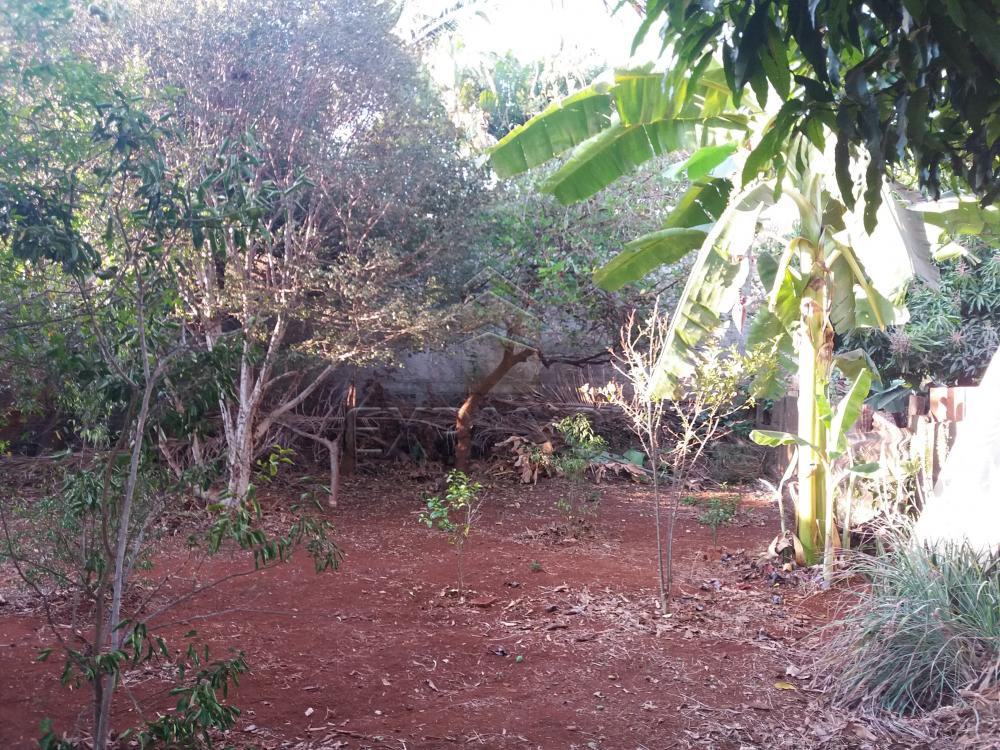 Comprar Casas / Padrão em Sertãozinho R$ 750.000,00 - Foto 11 Comprar Casas / Padrão em Sertãozinho R$ 750.000,00 - Foto 11