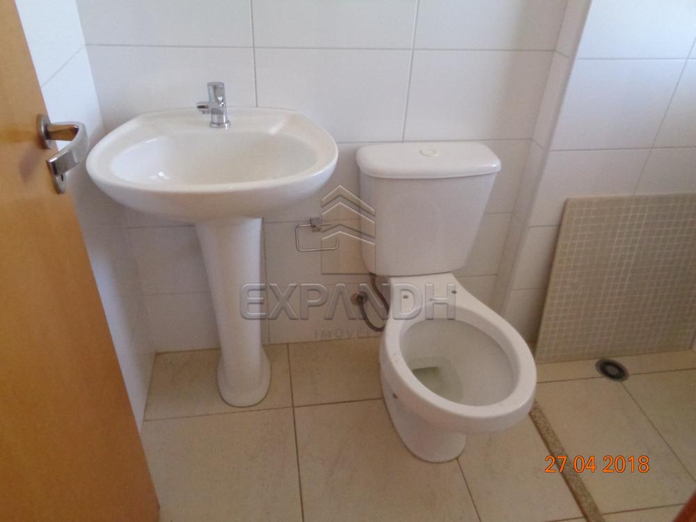 Alugar Apartamentos / Padrão em Sertãozinho apenas R$ 1.650,00 - Foto 32 Alugar Apartamentos / Padrão em Sertãozinho apenas R$ 1.650,00 - Foto 32
