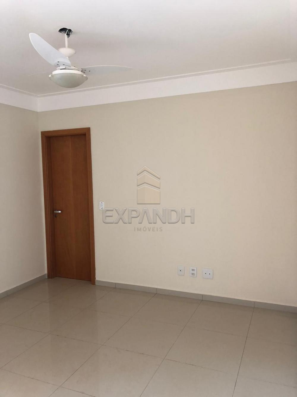 Alugar Apartamentos / Padrão em Sertãozinho apenas R$ 1.650,00 - Foto 12 Alugar Apartamentos / Padrão em Sertãozinho apenas R$ 1.650,00 - Foto 12
