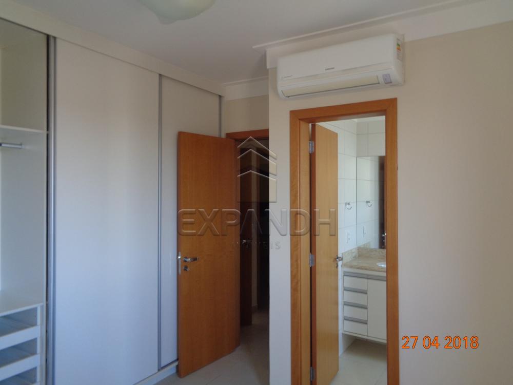 Alugar Apartamentos / Padrão em Sertãozinho apenas R$ 1.650,00 - Foto 13 Alugar Apartamentos / Padrão em Sertãozinho apenas R$ 1.650,00 - Foto 13