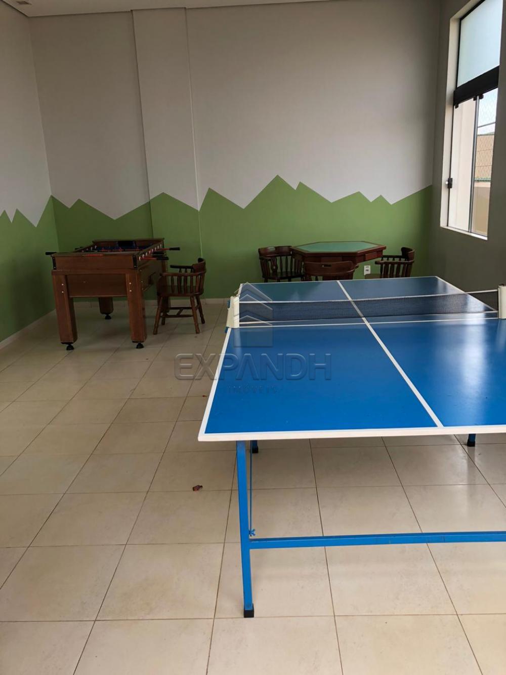 Alugar Apartamentos / Padrão em Sertãozinho apenas R$ 1.650,00 - Foto 35 Alugar Apartamentos / Padrão em Sertãozinho apenas R$ 1.650,00 - Foto 35