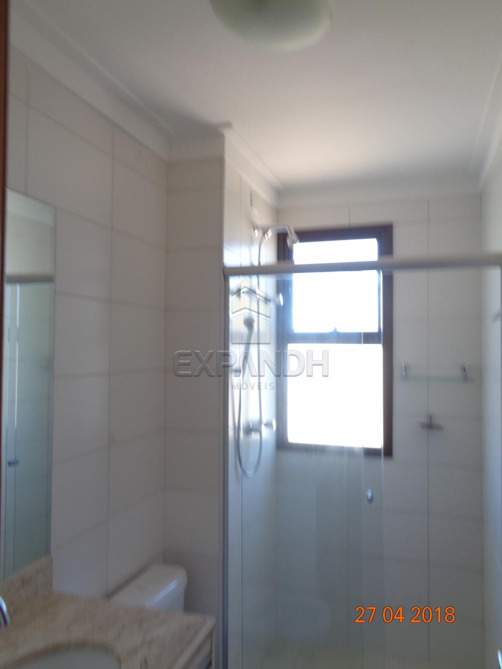 Alugar Apartamentos / Padrão em Sertãozinho apenas R$ 1.650,00 - Foto 23 Alugar Apartamentos / Padrão em Sertãozinho apenas R$ 1.650,00 - Foto 23