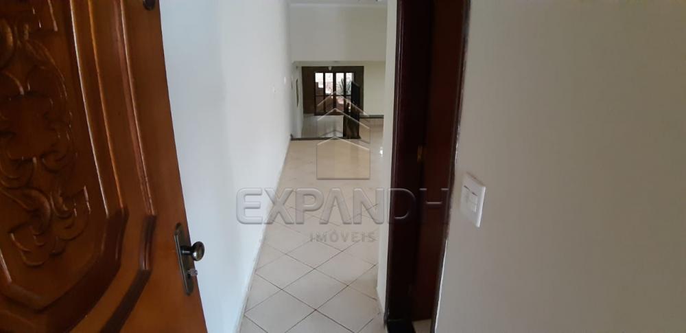 Alugar Casas / Padrão em Sertãozinho R$ 1.650,00 - Foto 4 Alugar Casas / Padrão em Sertãozinho R$ 1.650,00 - Foto 4