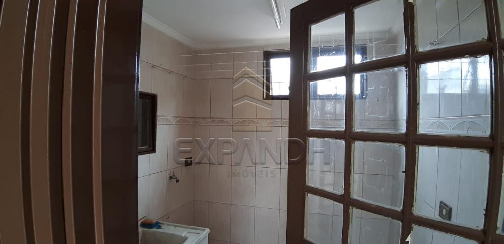 Alugar Casas / Padrão em Sertãozinho R$ 1.650,00 - Foto 12 Alugar Casas / Padrão em Sertãozinho R$ 1.650,00 - Foto 12