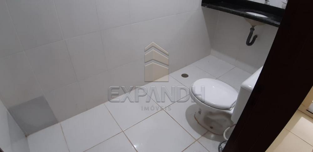 Alugar Casas / Padrão em Sertãozinho R$ 1.650,00 - Foto 39 Alugar Casas / Padrão em Sertãozinho R$ 1.650,00 - Foto 39