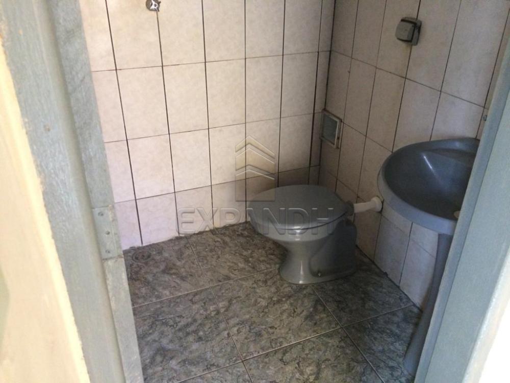 Alugar Casas / Padrão em Sertãozinho apenas R$ 560,00 - Foto 15 Alugar Casas / Padrão em Sertãozinho apenas R$ 560,00 - Foto 15