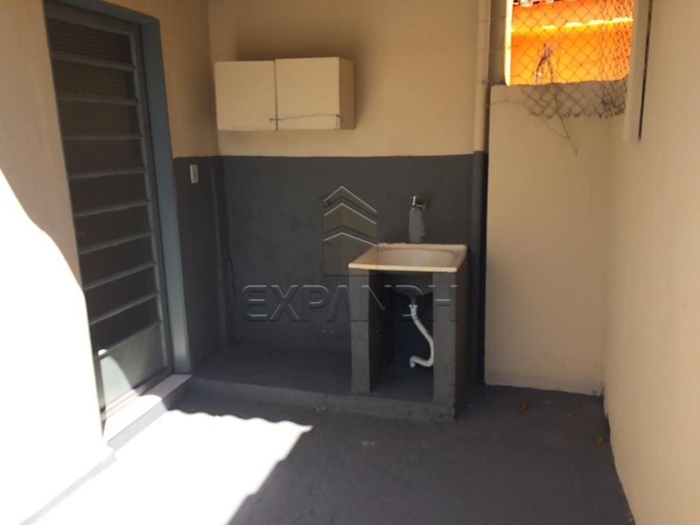 Alugar Casas / Padrão em Sertãozinho apenas R$ 560,00 - Foto 4 Alugar Casas / Padrão em Sertãozinho apenas R$ 560,00 - Foto 4