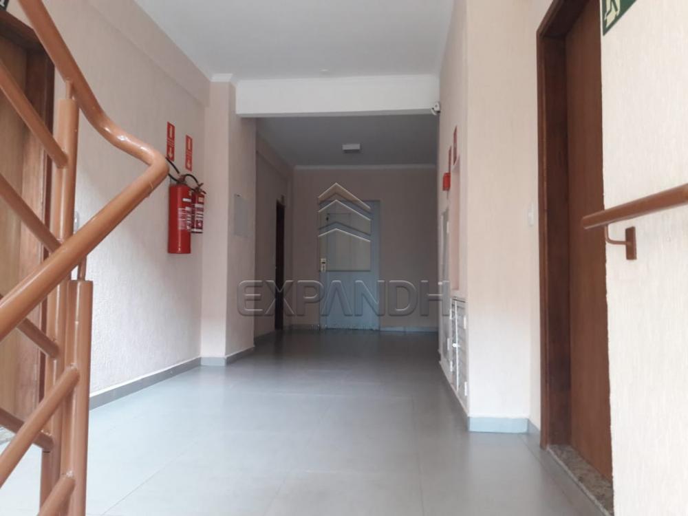 Comprar Apartamentos / Padrão em Sertãozinho R$ 280.000,00 - Foto 5 Comprar Apartamentos / Padrão em Sertãozinho R$ 280.000,00 - Foto 5