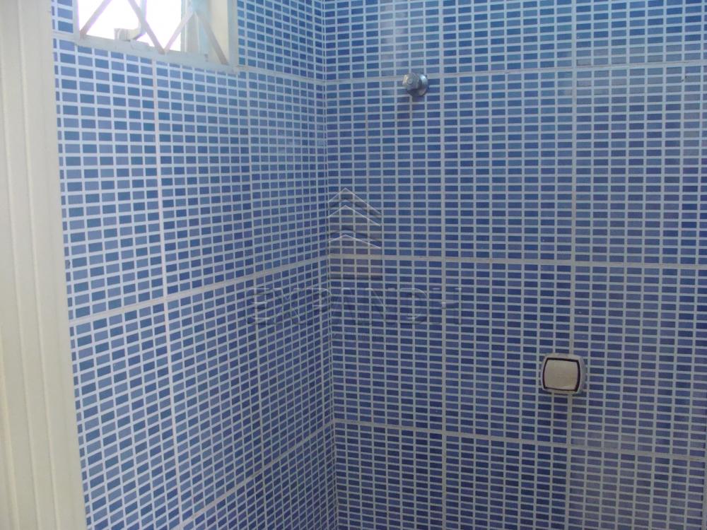 Comprar Casas / Padrão em Sertãozinho R$ 350.000,00 - Foto 14 Comprar Casas / Padrão em Sertãozinho R$ 350.000,00 - Foto 14