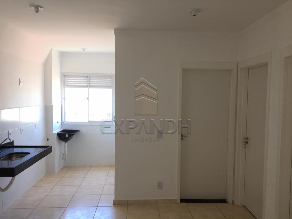 Alugar Apartamentos / Padrão em Sertãozinho R$ 350,00 - Foto 7