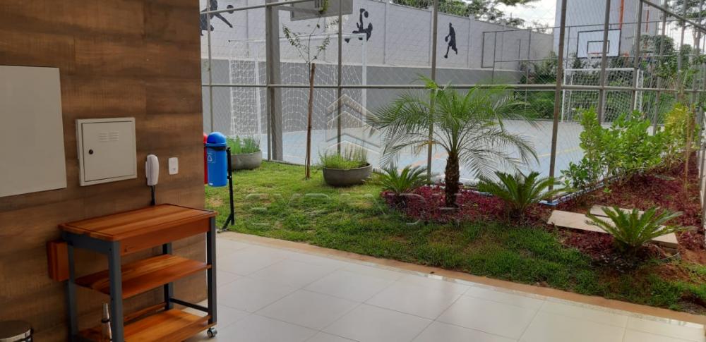 Alugar Apartamentos / Padrão em Sertãozinho R$ 650,00 - Foto 5 Alugar Apartamentos / Padrão em Sertãozinho R$ 650,00 - Foto 5