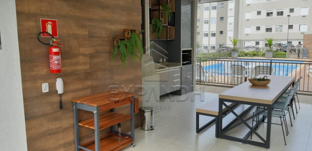 Alugar Apartamentos / Padrão em Sertãozinho R$ 650,00 - Foto 7 Alugar Apartamentos / Padrão em Sertãozinho R$ 650,00 - Foto 7