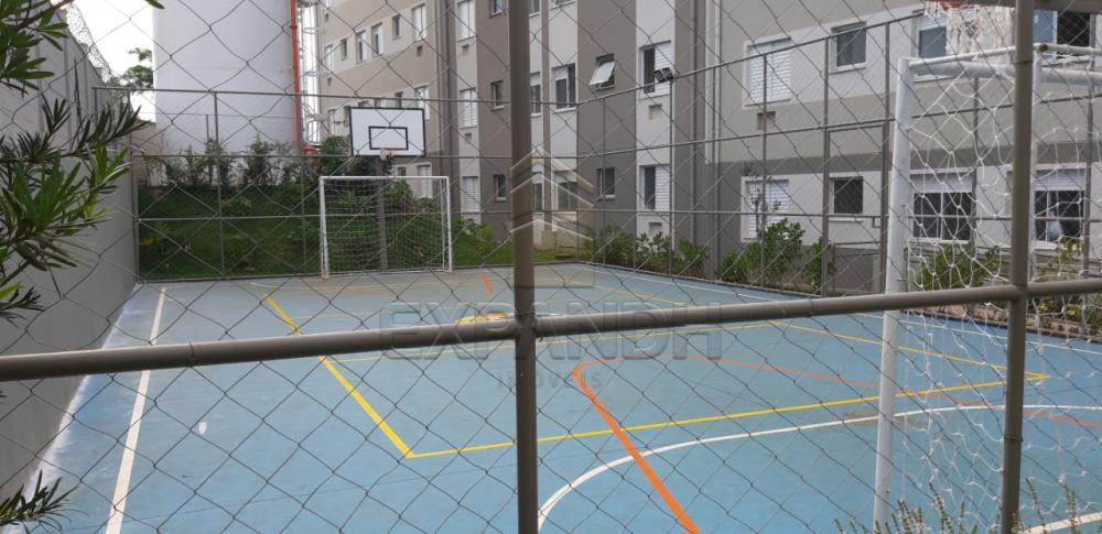 Alugar Apartamentos / Padrão em Sertãozinho R$ 650,00 - Foto 9 Alugar Apartamentos / Padrão em Sertãozinho R$ 650,00 - Foto 9