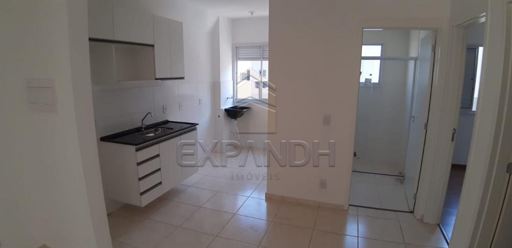 Alugar Apartamentos / Padrão em Sertãozinho R$ 650,00 - Foto 13 Alugar Apartamentos / Padrão em Sertãozinho R$ 650,00 - Foto 13