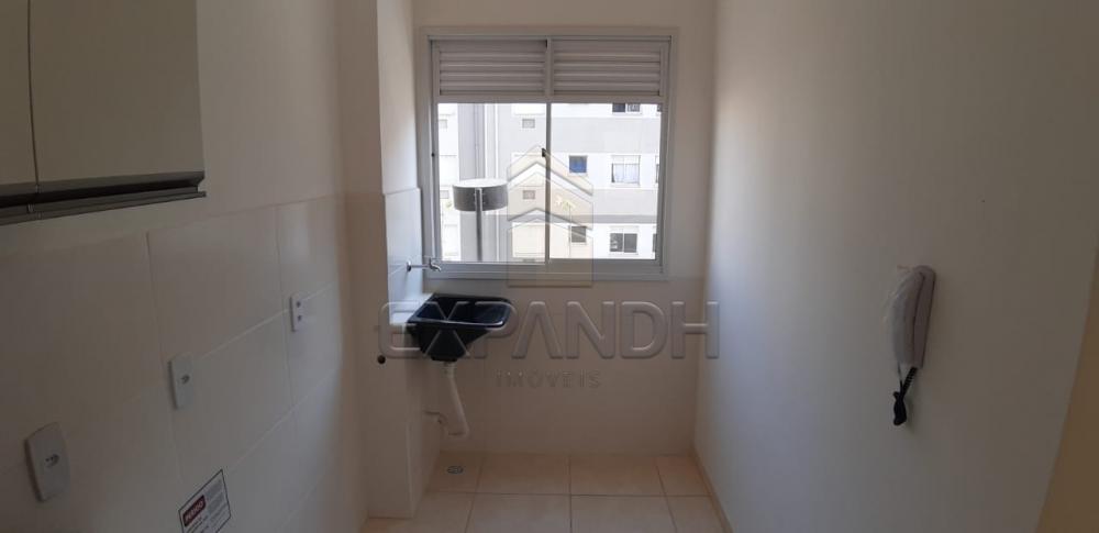 Alugar Apartamentos / Padrão em Sertãozinho R$ 650,00 - Foto 15 Alugar Apartamentos / Padrão em Sertãozinho R$ 650,00 - Foto 15