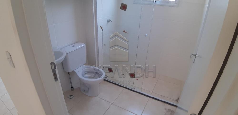 Alugar Apartamentos / Padrão em Sertãozinho R$ 650,00 - Foto 16 Alugar Apartamentos / Padrão em Sertãozinho R$ 650,00 - Foto 16