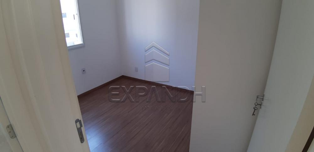 Alugar Apartamentos / Padrão em Sertãozinho R$ 650,00 - Foto 19 Alugar Apartamentos / Padrão em Sertãozinho R$ 650,00 - Foto 19