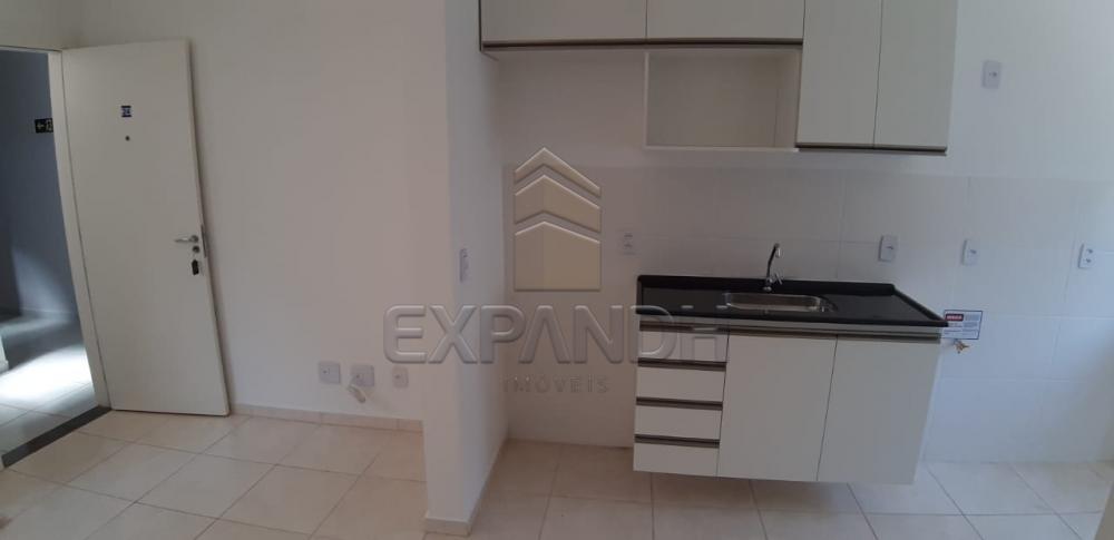 Alugar Apartamentos / Padrão em Sertãozinho R$ 650,00 - Foto 24 Alugar Apartamentos / Padrão em Sertãozinho R$ 650,00 - Foto 24