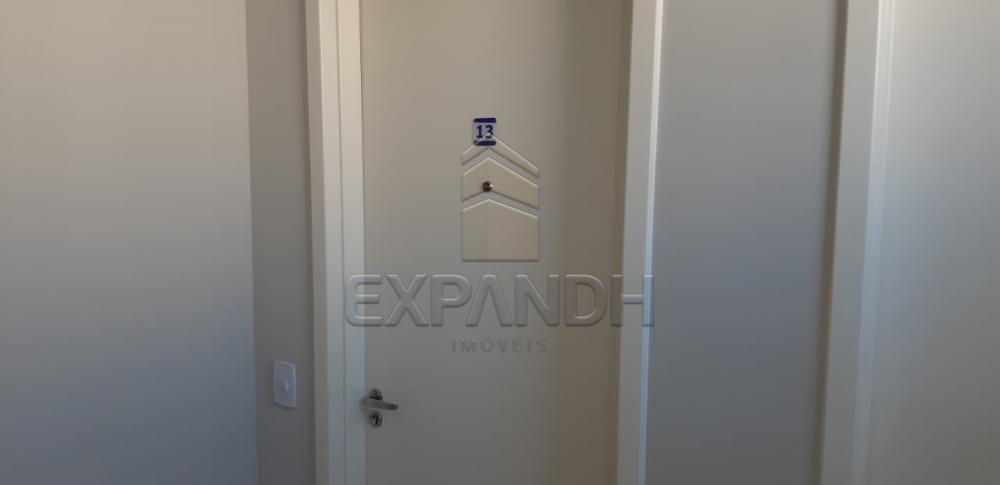Alugar Apartamentos / Padrão em Sertãozinho R$ 650,00 - Foto 5 Alugar Apartamentos / Padrão em Sertãozinho R$ 650,00 - Foto 5
