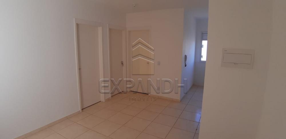 Alugar Apartamentos / Padrão em Sertãozinho R$ 650,00 - Foto 6 Alugar Apartamentos / Padrão em Sertãozinho R$ 650,00 - Foto 6
