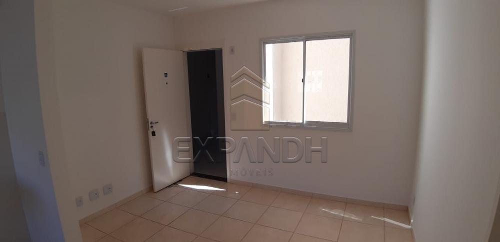 Alugar Apartamentos / Padrão em Sertãozinho R$ 650,00 - Foto 7 Alugar Apartamentos / Padrão em Sertãozinho R$ 650,00 - Foto 7