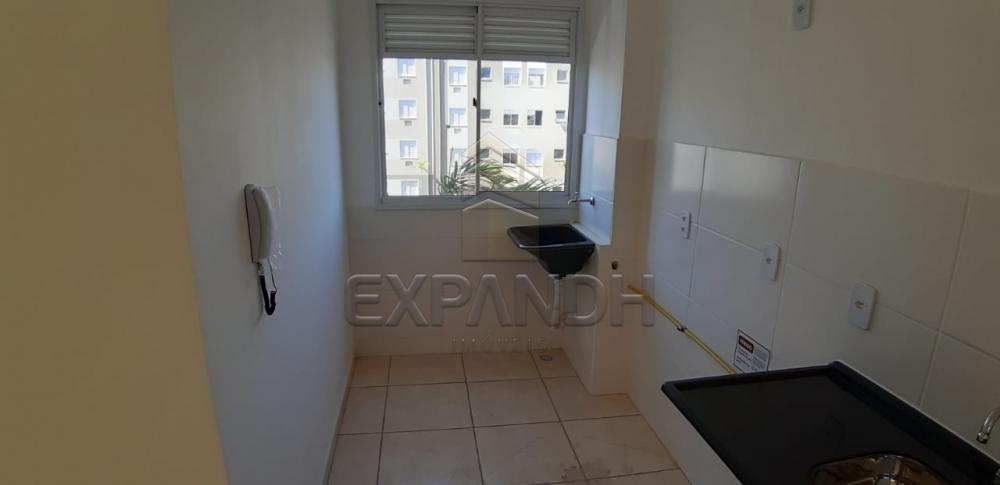 Alugar Apartamentos / Padrão em Sertãozinho R$ 650,00 - Foto 9 Alugar Apartamentos / Padrão em Sertãozinho R$ 650,00 - Foto 9