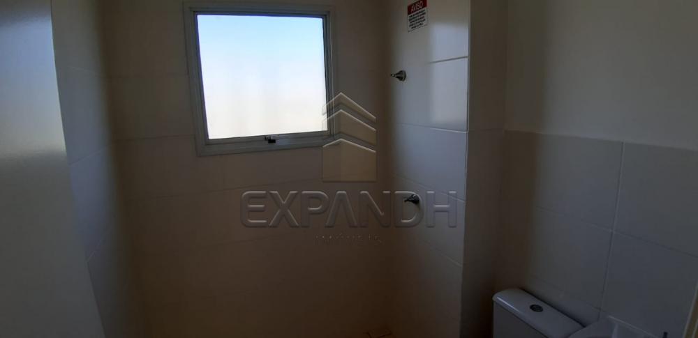 Alugar Apartamentos / Padrão em Sertãozinho R$ 650,00 - Foto 11 Alugar Apartamentos / Padrão em Sertãozinho R$ 650,00 - Foto 11