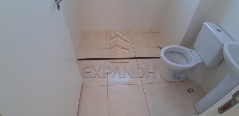 Alugar Apartamentos / Padrão em Sertãozinho R$ 650,00 - Foto 12 Alugar Apartamentos / Padrão em Sertãozinho R$ 650,00 - Foto 12