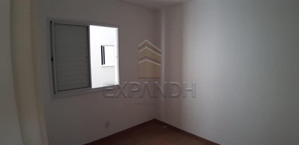 Alugar Apartamentos / Padrão em Sertãozinho R$ 650,00 - Foto 14 Alugar Apartamentos / Padrão em Sertãozinho R$ 650,00 - Foto 14