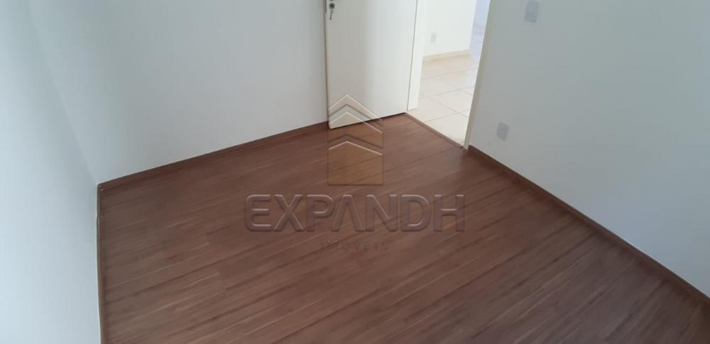 Alugar Apartamentos / Padrão em Sertãozinho R$ 650,00 - Foto 15 Alugar Apartamentos / Padrão em Sertãozinho R$ 650,00 - Foto 15