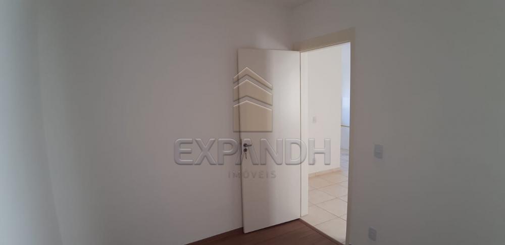 Alugar Apartamentos / Padrão em Sertãozinho R$ 650,00 - Foto 16 Alugar Apartamentos / Padrão em Sertãozinho R$ 650,00 - Foto 16