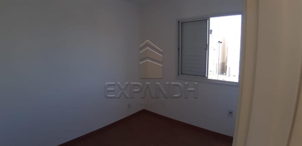 Alugar Apartamentos / Padrão em Sertãozinho R$ 650,00 - Foto 18 Alugar Apartamentos / Padrão em Sertãozinho R$ 650,00 - Foto 18