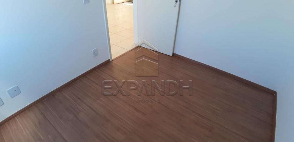Alugar Apartamentos / Padrão em Sertãozinho R$ 650,00 - Foto 19 Alugar Apartamentos / Padrão em Sertãozinho R$ 650,00 - Foto 19