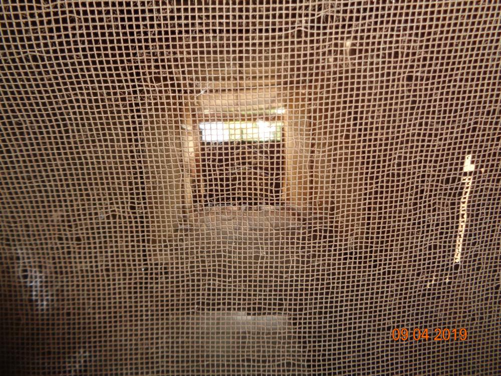 Alugar Comerciais / Ponto Comercial em Sertãozinho apenas R$ 2.500,00 - Foto 10 Alugar Comerciais / Ponto Comercial em Sertãozinho apenas R$ 2.500,00 - Foto 10