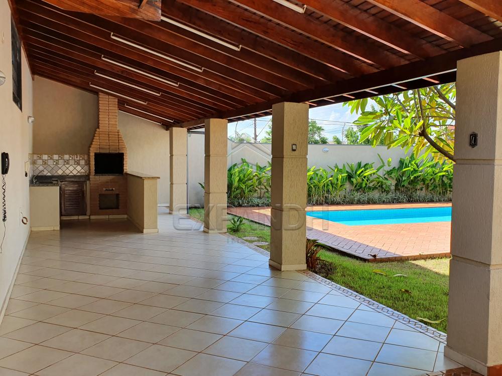 Alugar Casas / Padrão em Sertãozinho apenas R$ 2.500,00 - Foto 47 Alugar Casas / Padrão em Sertãozinho apenas R$ 2.500,00 - Foto 47