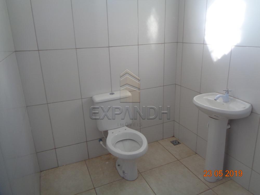 Alugar Comerciais / Barracão em Sertãozinho apenas R$ 1.650,00 - Foto 12 Alugar Comerciais / Barracão em Sertãozinho apenas R$ 1.650,00 - Foto 12