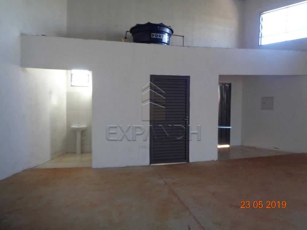 Alugar Comerciais / Barracão em Sertãozinho apenas R$ 1.650,00 - Foto 9 Alugar Comerciais / Barracão em Sertãozinho apenas R$ 1.650,00 - Foto 9