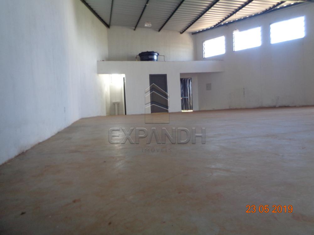 Alugar Comerciais / Barracão em Sertãozinho apenas R$ 1.650,00 - Foto 8 Alugar Comerciais / Barracão em Sertãozinho apenas R$ 1.650,00 - Foto 8