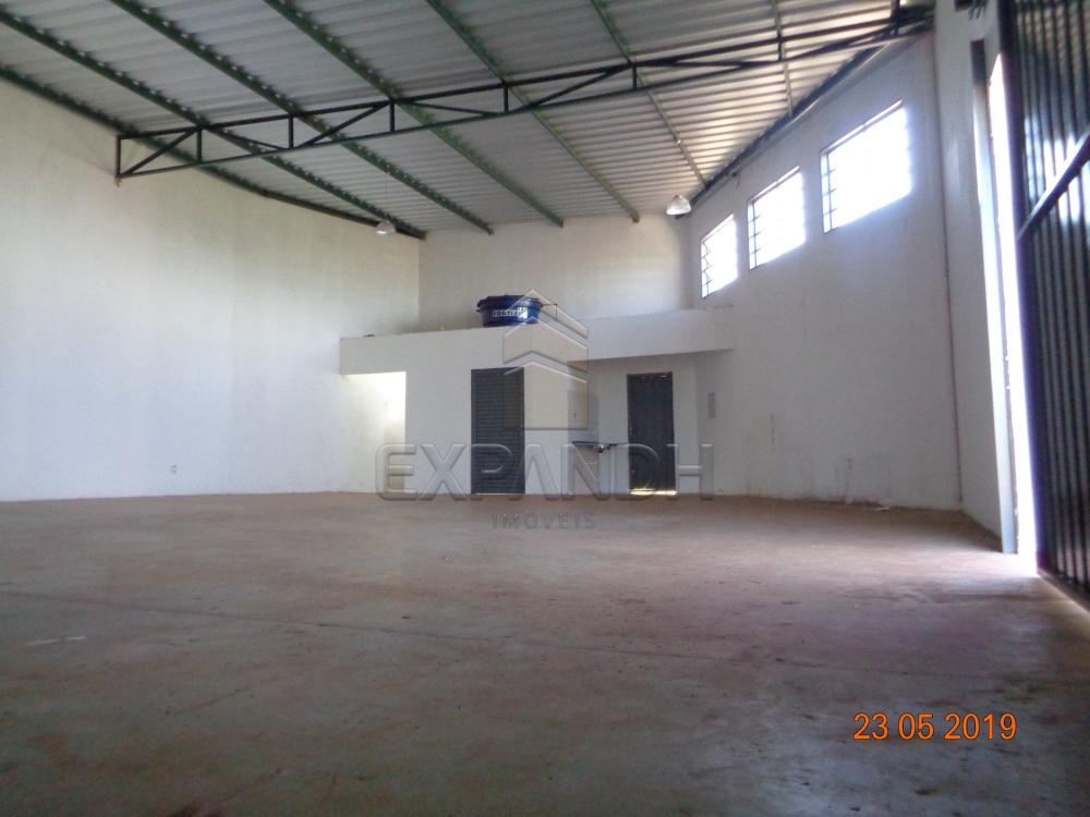 Alugar Comerciais / Barracão em Sertãozinho apenas R$ 1.650,00 - Foto 5 Alugar Comerciais / Barracão em Sertãozinho apenas R$ 1.650,00 - Foto 5