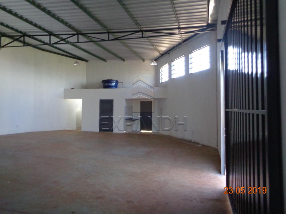 Alugar Comerciais / Barracão em Sertãozinho apenas R$ 1.650,00 - Foto 4 Alugar Comerciais / Barracão em Sertãozinho apenas R$ 1.650,00 - Foto 4