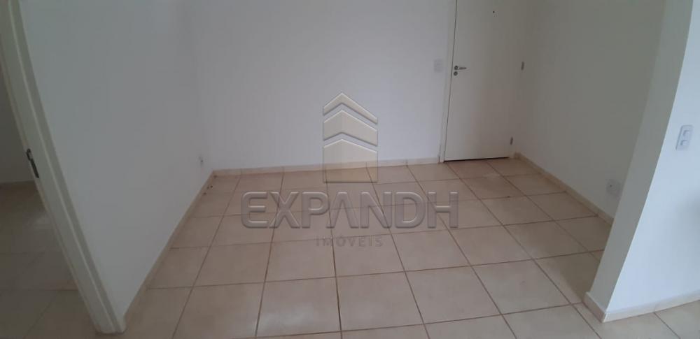 Alugar Apartamentos / Padrão em Sertãozinho apenas R$ 600,00 - Foto 21 Alugar Apartamentos / Padrão em Sertãozinho apenas R$ 600,00 - Foto 21