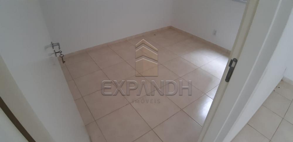 Alugar Apartamentos / Padrão em Sertãozinho apenas R$ 600,00 - Foto 23 Alugar Apartamentos / Padrão em Sertãozinho apenas R$ 600,00 - Foto 23