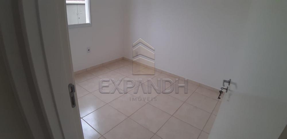Alugar Apartamentos / Padrão em Sertãozinho apenas R$ 600,00 - Foto 27 Alugar Apartamentos / Padrão em Sertãozinho apenas R$ 600,00 - Foto 27