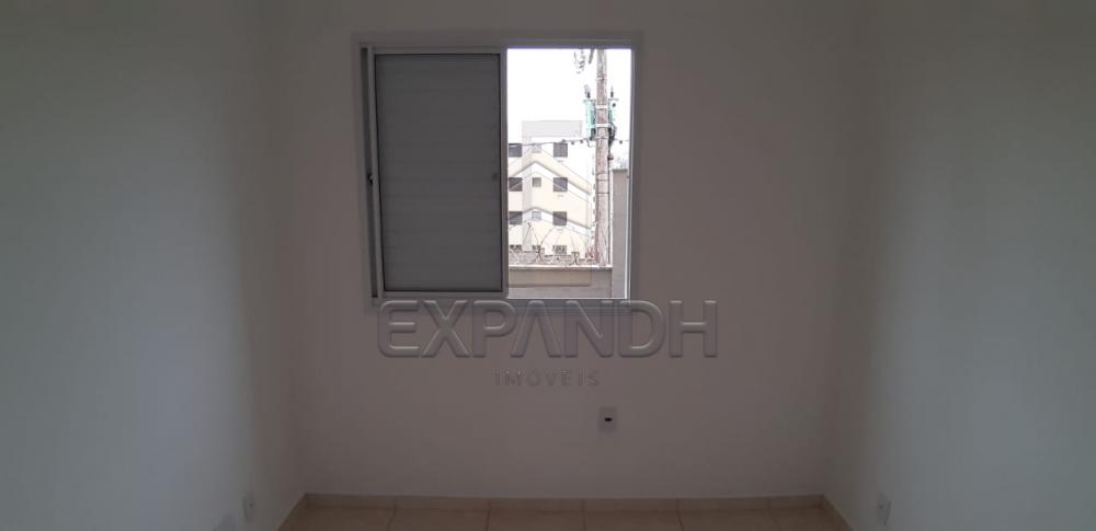 Alugar Apartamentos / Padrão em Sertãozinho apenas R$ 600,00 - Foto 28 Alugar Apartamentos / Padrão em Sertãozinho apenas R$ 600,00 - Foto 28