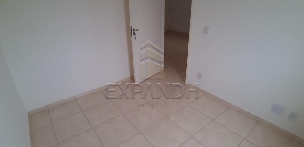 Alugar Apartamentos / Padrão em Sertãozinho apenas R$ 600,00 - Foto 29 Alugar Apartamentos / Padrão em Sertãozinho apenas R$ 600,00 - Foto 29