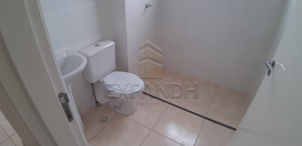 Alugar Apartamentos / Padrão em Sertãozinho apenas R$ 600,00 - Foto 30 Alugar Apartamentos / Padrão em Sertãozinho apenas R$ 600,00 - Foto 30