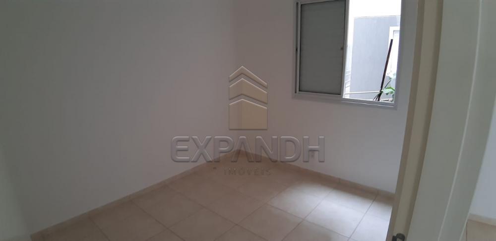 Alugar Apartamentos / Padrão em Sertãozinho apenas R$ 600,00 - Foto 31 Alugar Apartamentos / Padrão em Sertãozinho apenas R$ 600,00 - Foto 31