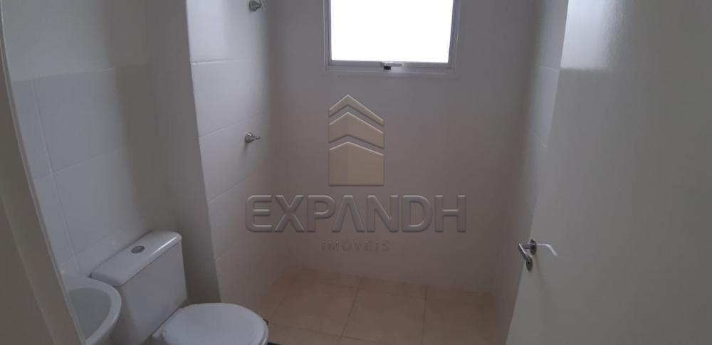 Alugar Apartamentos / Padrão em Sertãozinho apenas R$ 600,00 - Foto 32 Alugar Apartamentos / Padrão em Sertãozinho apenas R$ 600,00 - Foto 32