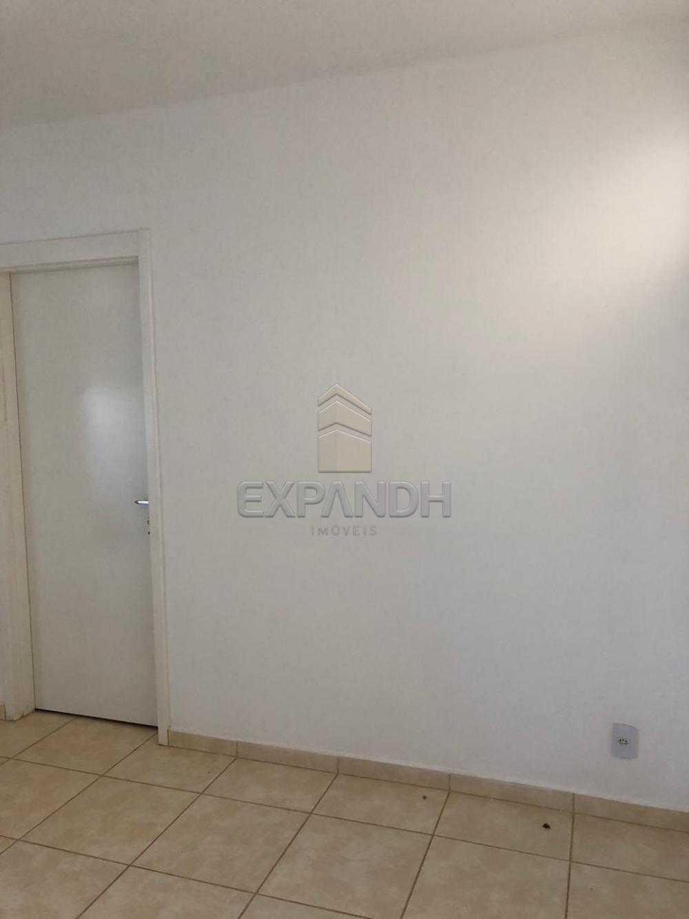Alugar Apartamentos / Padrão em Sertãozinho apenas R$ 600,00 - Foto 35 Alugar Apartamentos / Padrão em Sertãozinho apenas R$ 600,00 - Foto 35