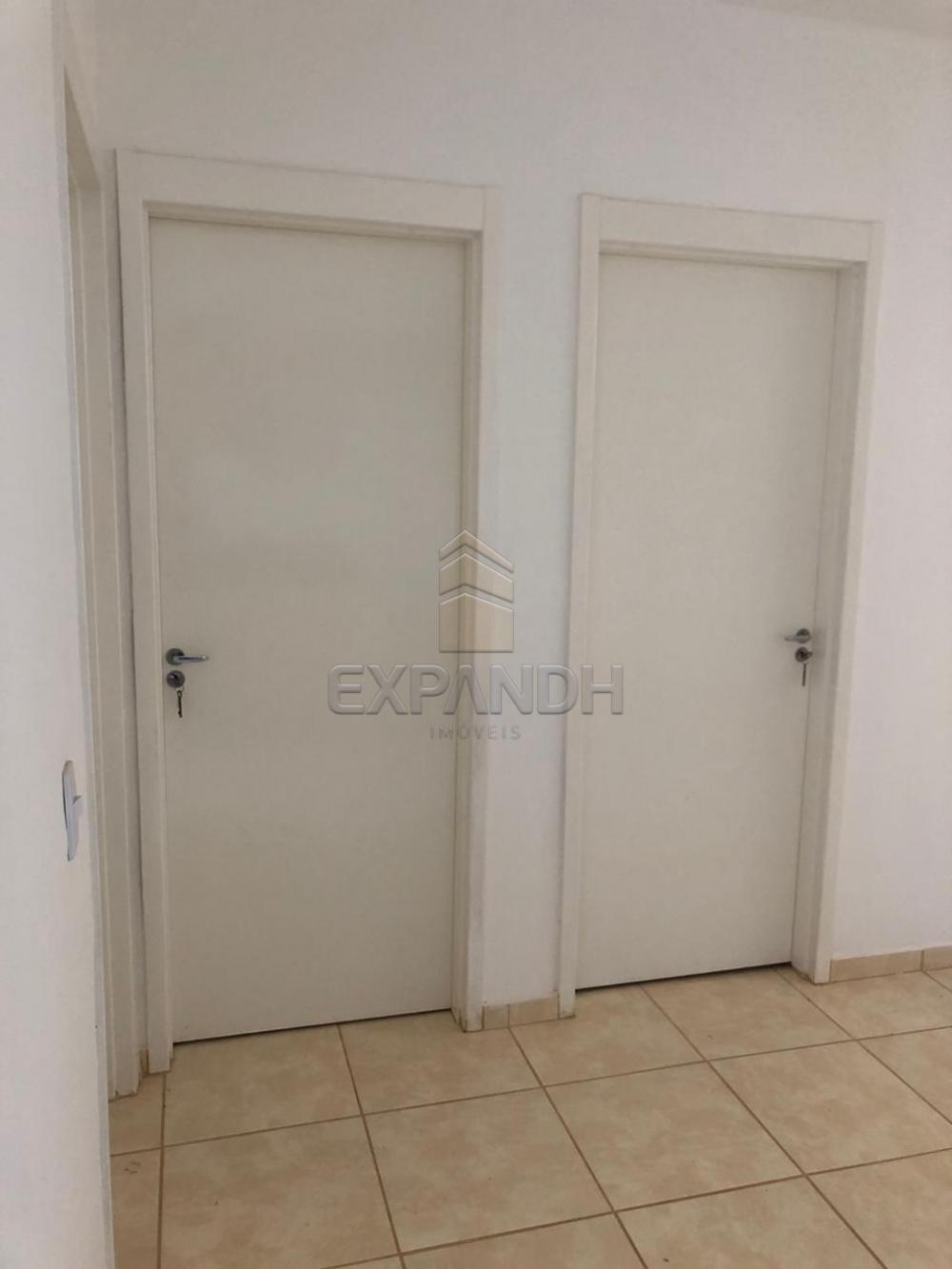 Alugar Apartamentos / Padrão em Sertãozinho apenas R$ 600,00 - Foto 39 Alugar Apartamentos / Padrão em Sertãozinho apenas R$ 600,00 - Foto 39